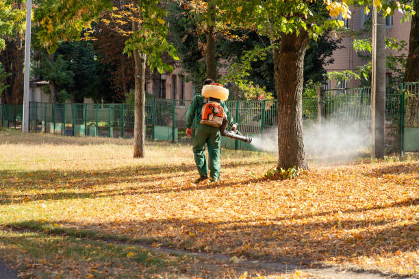 Reliable Highland Heights, KY Pest Control Solutions